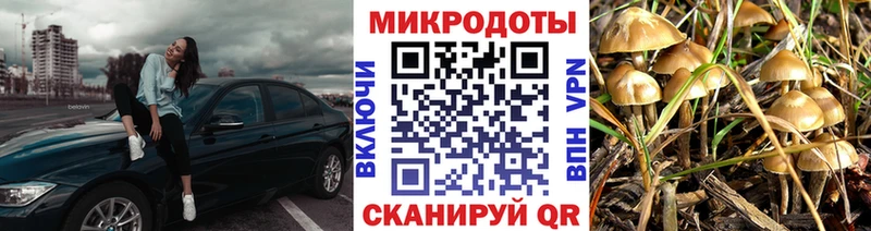 Купить где  Тулун  Галлюциногенные грибы Magic Shrooms 
